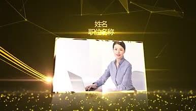 金色照片人物包装年会晚会颁奖AE模板视频的预览图